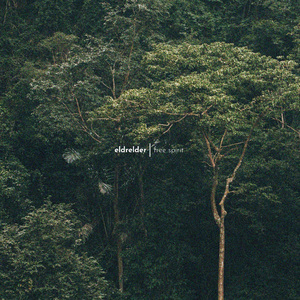 竹内里沙和狗的梗
