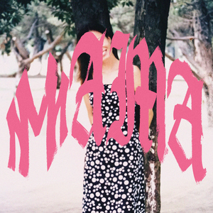 竹内里沙和狗的梗
