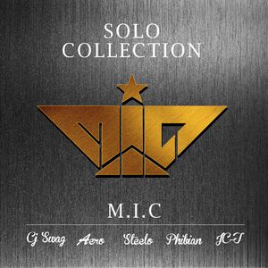 竹内里沙和狗的梗
